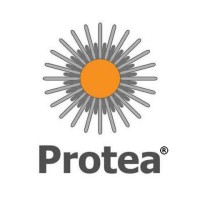 PROTEA